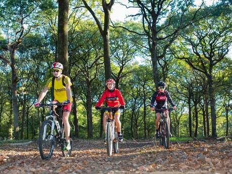 CIRCUIT VTT N°3 - LES MINIÈRES CIRCUIT VTT N°3 - LES MINIÈRES