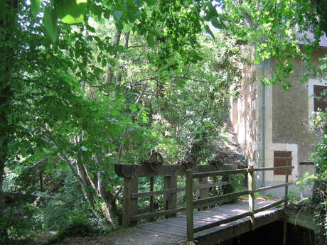 Pêcher sur le Tusson dans un lieu pittoresque