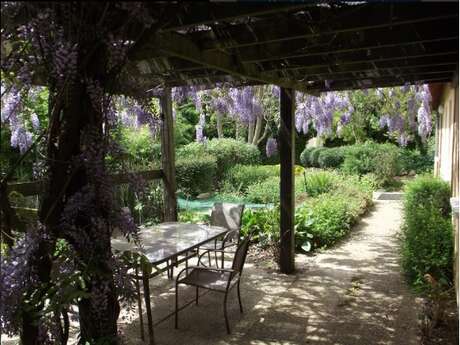 GITE LA BASSE COUR - WISTERIA