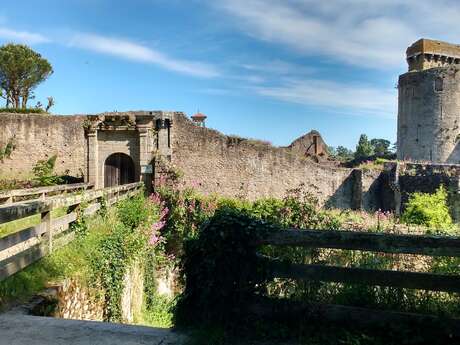 BOUCLE CIRCUITS DE LA SEVRE A LA MOINE