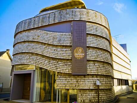 Jupilles - Escapade en forêt de Bercé