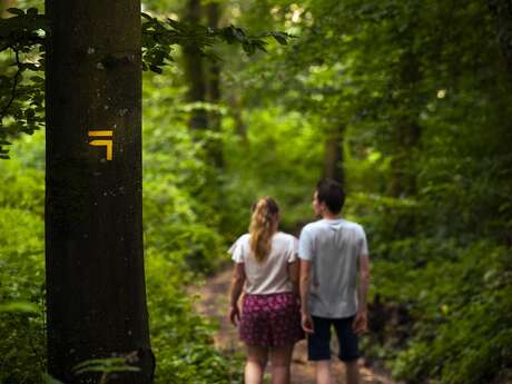 Le bois de Roussigny