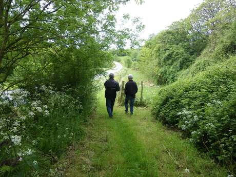 BOUCLE CIRCUIT BUISSONNIER