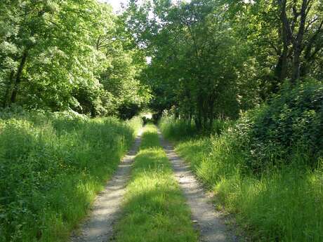 BOUCLE CIRCUIT DE VIGNES EN VILLAGES