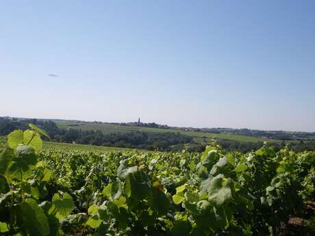Panorama sur Saint-Fiacre-Sur-Maine