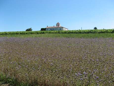 BOUCLE CIRCUIT DES COTEAUX