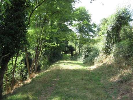 BOUCLE CIRCUIT DE LA HAUTE DIVATTE