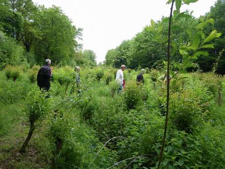 BOUCLE CIRCUIT DU MOULIN DE LA ROBINIÈRE