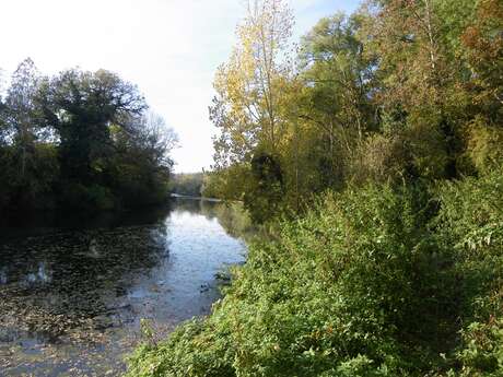 BOUCLE CIRCUIT DE LA SEVRE