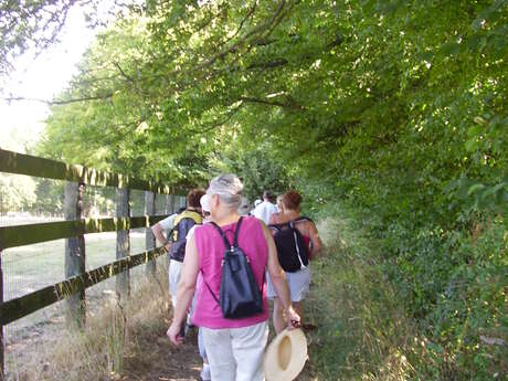 CÔTÉ CHEMIN CÔTÉ JARDIN - BONNÉTABLE CÔTÉ CHEMIN CÔTÉ JARDIN - BONNÉTABLE