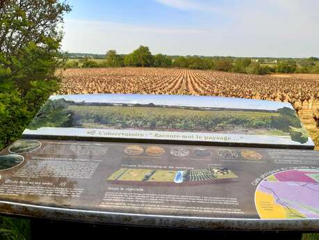 Observatoire "Raconte-moi un paysage"