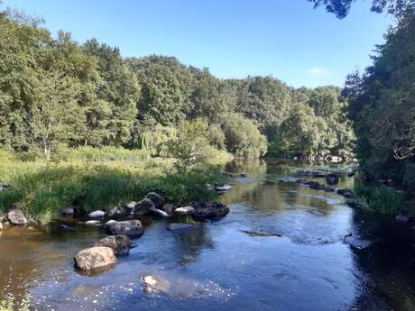 PARCOURS FAMILLE MURMURES DE ROCHERS « ARBRE À PALABRES »
