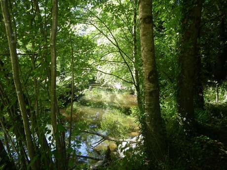 Vallée de la Sanguèze au Pallet