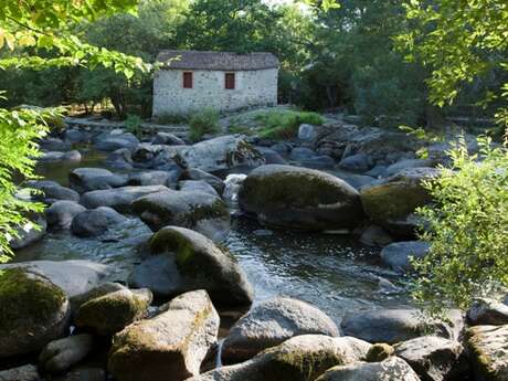 Le Moulin à foulon