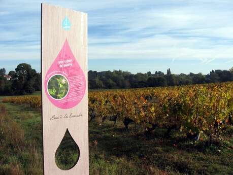 PARCOURS FAMILLE MURMURES DE ROCHERS « L'EAU A LA BOUCHE »