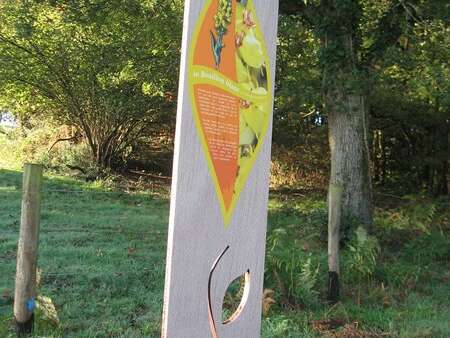 PARCOURS FAMILLE MURMURES DE ROCHERS « LE PETIT BOTANISTE »