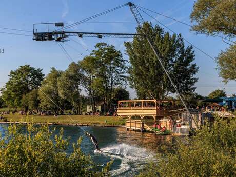 WAKE PARADISE