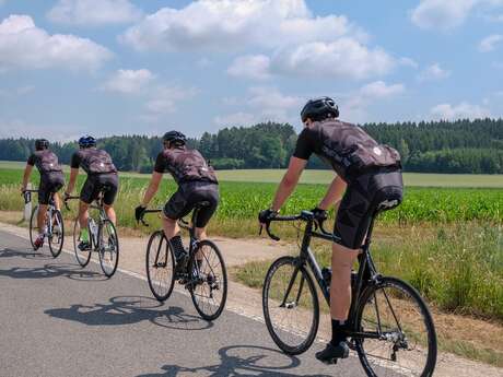 RANDONNÉE CYCLO "À TRAVERS LE PERCHE"