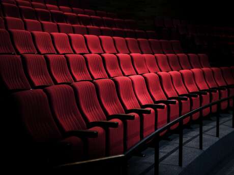 FILM "DES MAINS EN OR"