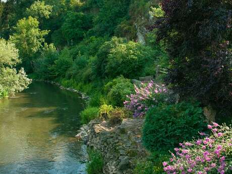 Monts et Marches trail "Saint-Céneri sur le Motif"