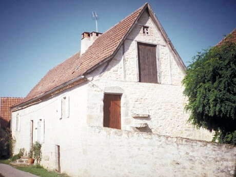 Saignes