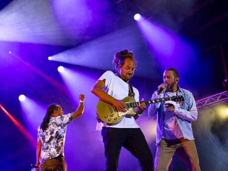 Festival Ecaussystème : Les concerts du Vendredi