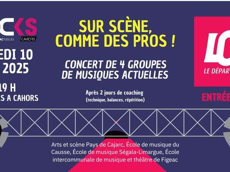 Concert: "Sur scène comme des pros" aux Docks
