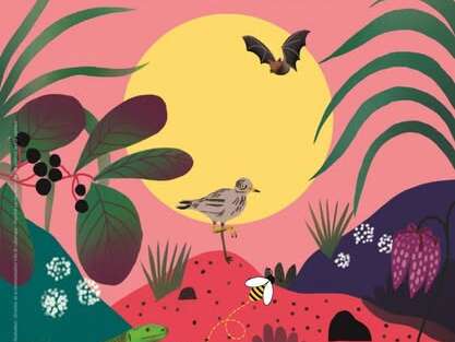 Fête de la Nature à Lalbenque