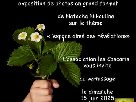 Exposition au jardin paysage à Bégoux