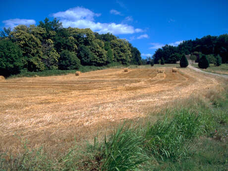 Au Coeur de la Bouriane