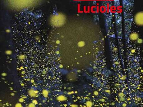 Spectacle  en plein air "Lucioles"