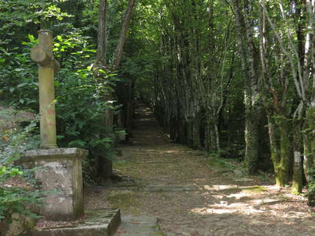 Balades secrètes en Corrèze - découverte de la Tourbière de la Bissière