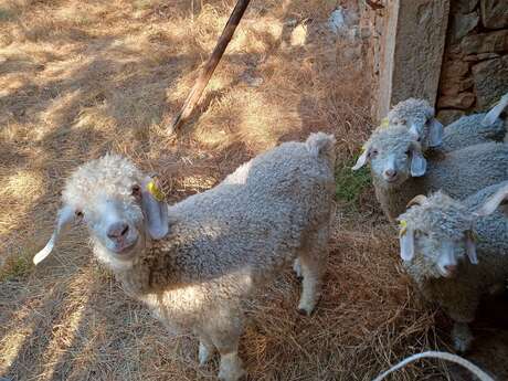 La Ferme des Tabliers