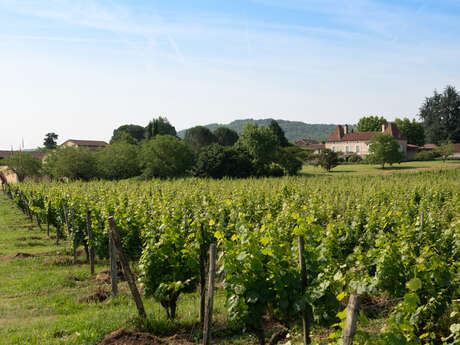 Château Gautoul