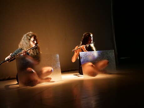 Théâtre de l'Usine - Et le chant des baleines Cie Pic & Colegram