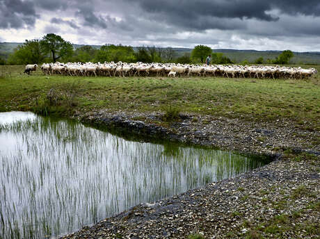 Exposition ParcourS, un regard sur le paysage