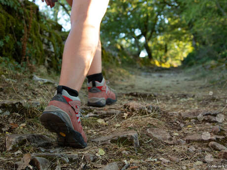 Randonnée à Meyssac, Puy Bousquet