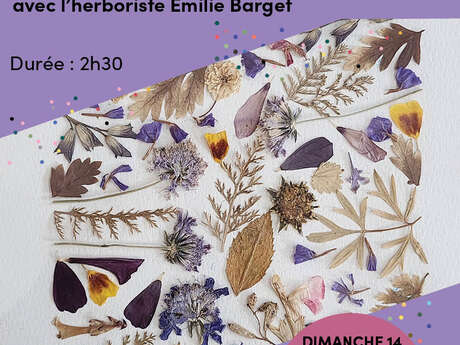 Atelier tableaux fleurs séchées au Musée Henri Martin