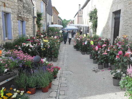 Foire aux plantes et aux fleurs