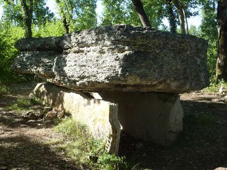 A la Découverte du Causse des Dolmens