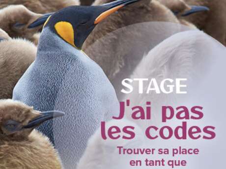 Stage à l'Atelier sous les Chênes -  J'ai pas les codes, trouver sa place en tant que neuro-atypique
Avec Christelle Petitcollin