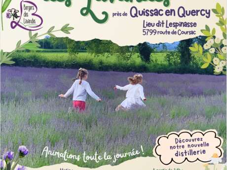 Portes Ouvertes des Bergers des Lavandes à Quissac