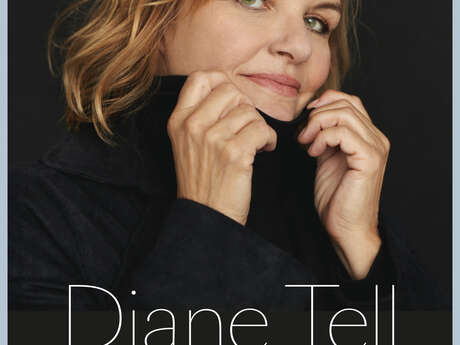 Concert de Diane Tell