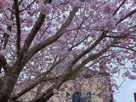 Meublé de Tourisme VERLHAC