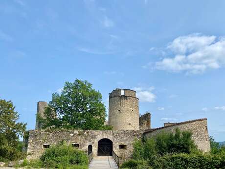 Château de Roussillon