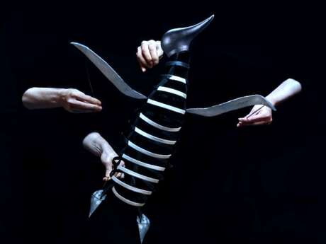 Spectacle jeune public à Figeac : Le complexe du pingouin