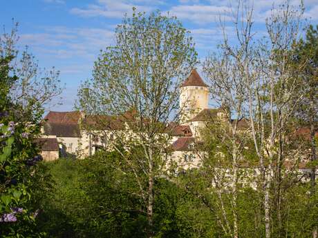 Visite guidée : le Castrum de Concots