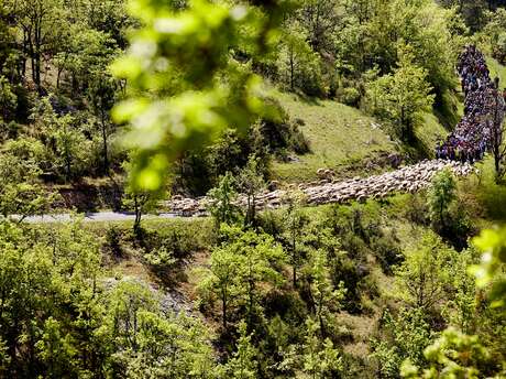 Pastoralisme et biodiversité - Balade commentée et stand Natura 2000