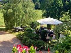 Le Baquet
