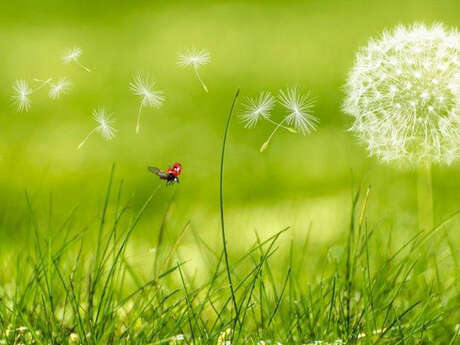 Découverte du Qi Gong  à la Librairie Livres Books & Co